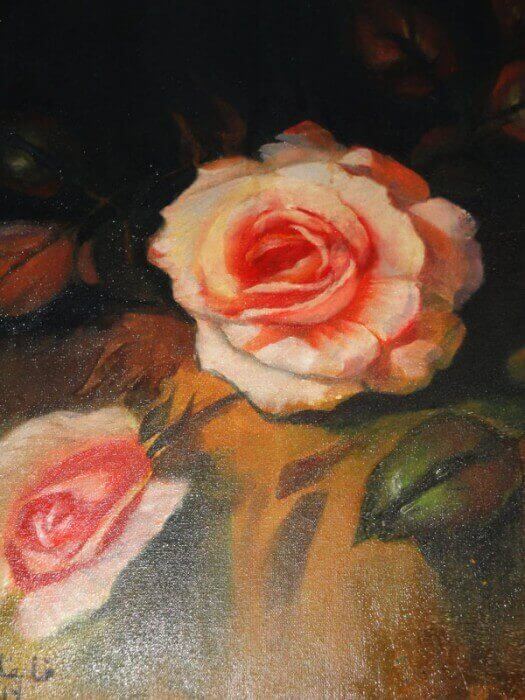 The Rose, flower of love rose flowers pictures gallery. The Rose, flower of love